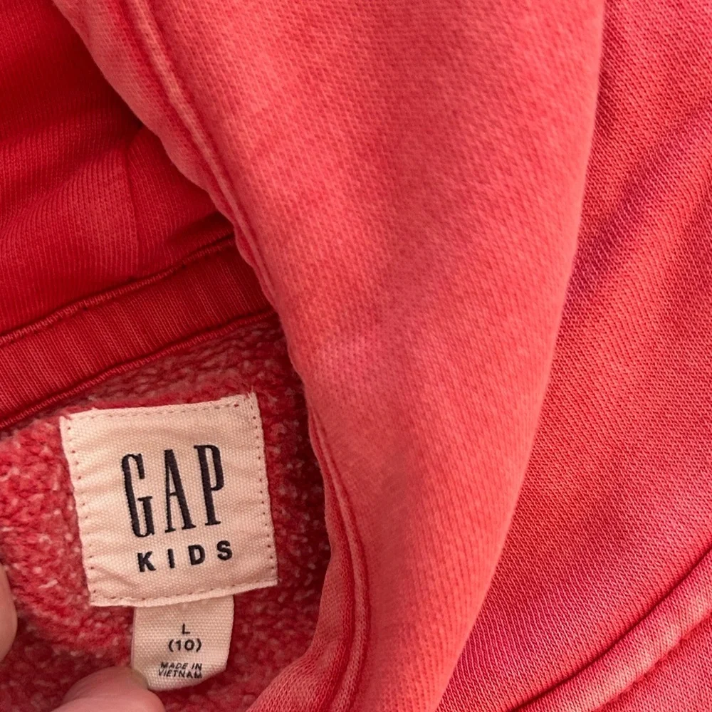 GAP Kids Athletic Logo Pullover Hoodie red